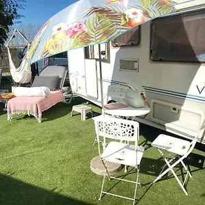 Gardencaravan Near In Area Camping